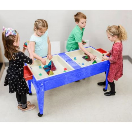 dual sensory table